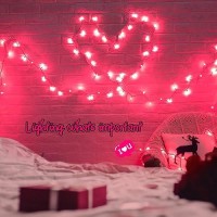 Christmas Pink Mini String Lights 100 Count 25 Feet Detachable Incandescent Bulb Waterproof Fairy Lights Plug In For Indoor Ou