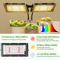 Lbw Grow Light With Stand, Dual Heads Full Spectrum Grow Light, 200W Led Plant Lights For Indoor Plants, Auto On/Off Timer, 6 Dimmable Levels, 3 Switch Modes, Adjustable Tripod Stand 15-63 Inches