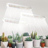 T5 Grow Lights 14Ft 5000K White Full Spectrum Led Plant Growing Lamp Strips For Indoor Plants Seeds Starting Succulents Hig