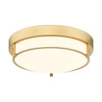 Cargifak Flush Mount Light Fixture 12 Inch 2Light Modern Ceiling Light With Brass Gold Finish For Hallway Kitchen Laundry Bedr