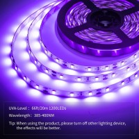 Yayit 66Ft/20M Led Black Light Strip Kit, 1200 Leds, 12V Flexible Blacklights Fixtures For Glow Party, Bedroom, Halloween, Body Paint, Birthday, Non-Waterproof