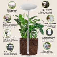 Growled Umbrella Plus Grow Light, Herb Garden, 6Ft Height Adjustable, 11Ft Long Cord, 8/12/16/24H Automatic Timer, 5-Level Brightness, Plant Light For Large Plants Like Paradise Bird