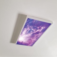 Lanqiao Fluorescent Light Covers For Office & Classroom Decorations,Landscape,Eliminate Harsh Glare And Headaches,Easy To Install Ceiling Lights Filter,2X4 Purple And White