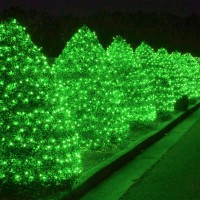 Kemooie 500 Led Green String Lights, 164 Ft 8 Twinkle Modes With Memory Function Fairy Lights, Plug In Waterproof St Patrick'S Day Lights For Outdoor Garden Patio Balcony Irish Christmas Decorations