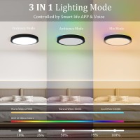 Novelux 12 Inch 25 Watt Wifi Smart Ceiling Light, Led Ceiling Lights Dimmable(0%-100%) 2700-6500K & Rbg Million Colors, Ceiling Light Fixtures Flush Mount For Porch-1 Pack