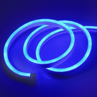 Depulat Neon Rope Lights,16.4Ft/5M,Dc 600 Leds Neon Flex,12V Strip Lights,Waterproof Lights Strips For Bedroom, Indoor Or Outdoor Decor.(Adapter Not Included/Blue)