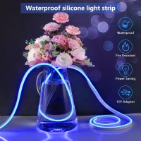 Depulat Neon Rope Lights,16.4Ft/5M,Dc 600 Leds Neon Flex,12V Strip Lights,Waterproof Lights Strips For Bedroom, Indoor Or Outdoor Decor.(Adapter Not Included/Blue)