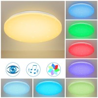 Horevo Flush Mount Ceiling Light Fixture, Led Ceiling Light With Bluetooth Speaker And Remote Control, 24W 40Cm Music Color Changing Light Dimmable Lamp For Kids Room Bedroom Bathroom