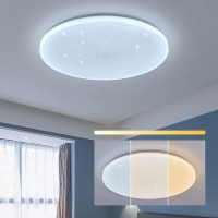 Horevo Flush Mount Ceiling Light Fixture, Led Ceiling Light With Bluetooth Speaker And Remote Control, 24W 40Cm Music Color Changing Light Dimmable Lamp For Kids Room Bedroom Bathroom