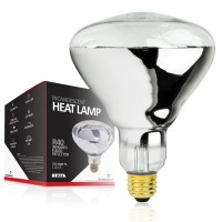 Bulbmaster 250 Watt Heat Lamp Bulb For Bathroom R40 Incandescent Shower Heat Lamp Clear Infrared Bath Light 250R40 Chicken Light Bulb E26 Base 1 Pack