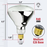 Bulbmaster 250 Watt Heat Lamp Bulb For Bathroom R40 Incandescent Shower Heat Lamp Clear Infrared Bath Light 250R40 Chicken Light Bulb E26 Base 1 Pack