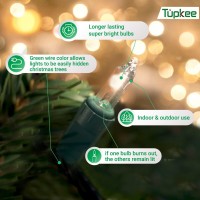 Tupkee Christmas Light Net - 150 Clear Warm Mesh Lights - Random Shimmering Twinkle Lights - 21 Of 150 Lights Twinkle - 4 Ft X 6 Ft - Outdoor/Indoor - Net Lights For Bushes, Hedges Or Trees