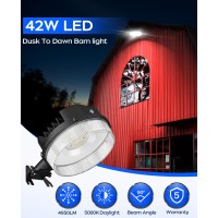 Cinoton Led Barn Light, Dusk To Dawn Outdoor Lighting, 42W 4950Lm 5000K Daylight, Security Flood Light, Ul Listed, Ip65 Waterproof Outside Area Light With Photocell, Black1 Pack