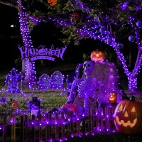 Jmexsuss 163 Ft 500 Led Purple Halloween Lights 8 Modes Purple String Lights Indoor Outdoor Waterproof Purple Christmas Lights