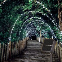 Kemooie 2 Pack 240 Led White Solar Christmas Lights Outdoor Waterproof 787 Ft Extralong Super Bright Solar Powered Christmas