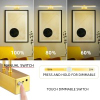 Funchday Picture Light5000Mah Battery Operated Picture Light For Wallwireless Remote Painting Light With Timer And Dimmable16