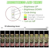 Plant Grow Light For Indoor Plant Bamboo Mini Led Grow Light Garden Height Adjustable Automatic Timer With 81216 Hours