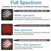 Grow Lights For Indoor Plants, Dicceao 150W Leds Grow Light For Seed Starting With Full Spectrum, 3/9/12H Timer, 10 Dimmable Levels, 3 Switch Modes