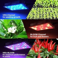 Tatu 1000W Led Grow Light For Indoor Plants Full Spectrum Plant Light Growing Lamp For Hydroponic Indoor Plant Veg And Flower F