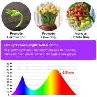 Led Grow Lights For Indoor Plants, Avyvi Grow Light Usb 16Ft 300Leds, Flexible Gentle Plant Lights Indoor Full Spectrum, Waterproofpink Grow Lamp For Seedling, Greenhouse, Plant Tissue Culture