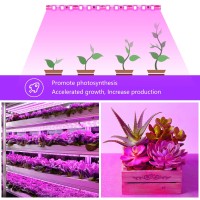 Led Grow Lights For Indoor Plants, Avyvi Grow Light Usb 16Ft 300Leds, Flexible Gentle Plant Lights Indoor Full Spectrum, Waterproofpink Grow Lamp For Seedling, Greenhouse, Plant Tissue Culture