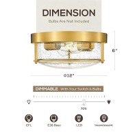 Femila 12 Ceiling Light Fixture 2Light Flush Mount Light For Bedroom Kitchen Dining Room Hallway Entryway Brass Gold Finish