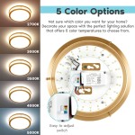 Luxrite 10 Inch Led Flush Mount Ceiling Light 5 Color Selectable 2700K 3000K 3500K 4000K 5000K Dimmable Ceiling Light