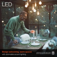 Sylvania Led Vintage Filament G40 Globe Light Bulb 60W 65W 650 Lumens Dimmable Amber Glow 2 Pack 40192