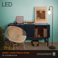 Sylvania Led Vintage Filament G40 Globe Light Bulb 60W 65W 650 Lumens Dimmable Amber Glow 2 Pack 40192