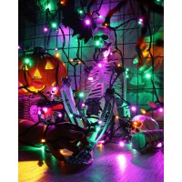 Brizled Purple Orange Green Halloween Lights 33Ft 100 Led 5Mm Wide Angle Halloween String Lights 120V Ul Listed Connectable Ha