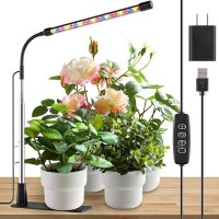 Lpmzmbl Grow Light Led Plant Light For Indoor Plants Growing Full Spectrum Desk Grow Lamp With Base 10 Dimmable Levels Plant