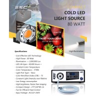 Esc Medicams Portable Endoscopy Cold Led Light Source 80 Watt