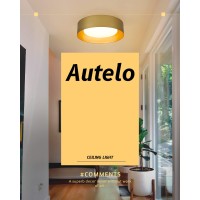 Autelo Gold Flush Mount Ceiling Light Led 14 Ceiling Mount Light Fixture With Frosted Glass For Bedroom Foyer Hallway C3336Xs