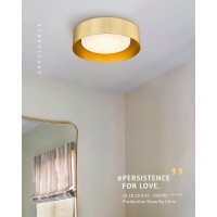 Autelo Gold Flush Mount Ceiling Light Led 14 Ceiling Mount Light Fixture With Frosted Glass For Bedroom Foyer Hallway C3336Xs