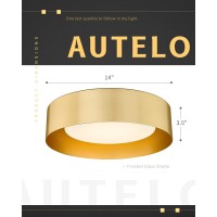 Autelo Gold Flush Mount Ceiling Light Led 14 Ceiling Mount Light Fixture With Frosted Glass For Bedroom Foyer Hallway C3336Xs