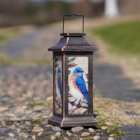 Outdoor Solar Lantern Hanging Solar Lantern Waterproof Lamp Outdoor Garden Decorative,Blue Bird,10