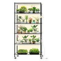 Bstrip Diy Plant Shelf With Grow Lights Grow Light Shelf With Adjustable Rack And Wheels Plant Stand 8Pack 192W T8 3000K Ful