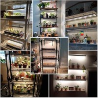 T5 Led Grow Lights 204Pcs Bulb 5000K White Full Spectrum Plant Light Strips For Indoor Plants Shelves Greenhouse Seedling End