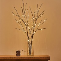 Birchlitland Lighted Brown Branches 32In 100 Led With Timer Battery Operated Artificial Tree Branch With Warm Willow Branch Lig