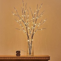 Birchlitland Lighted Brown Branches 32In 100 Led With Timer Battery Operated Artificial Tree Branch With Warm Willow Branch Lig