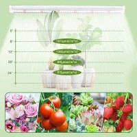 T5 Led Grow Lights 14Ft 5000K Full Spectrum White Grow Lights For Indoor Plants Strip Greenhouse Succulent Seed Starting End