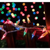 Lamphome Christmas String Light 100 Count Incandescent Mini String Light For Indoor Outdoor Use White Wiremulticolor