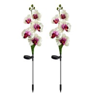 Modudy Solar Flowers Lights,2Pack 29In Waterproof Solar Powered Orchid Lights With 5 Big Flowers,Decorative Lights With Solar Panel For Patio Yard Lawn Pathway Decoration,Solar Landscape Path Light