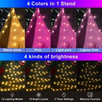 Valentines Decorations Globe String Lights Battery Operated, Color Changing 50 Led Hanging Lights 16.4 Ft Camping String Lights W/ Remote Timer For Bedroom Indoor Holiday Decor (Pink & Warm White)