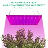 Gigicloud 169 Leds Grow Light, Indoor Plants Growing Light Bulb Full Spectrum Plant Grow Light Energy Saving Growing Lamp For Hydroponic Plant Vegetable