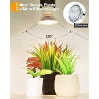 Dommia Plant Light For Indoor Plants Full Spectrum Led Grow Light Bulb Warmwhite Indoor Plant Lights Easy Installation Small