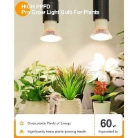 Dommia Plant Light For Indoor Plants Full Spectrum Led Grow Light Bulb Warmwhite Indoor Plant Lights Easy Installation Small