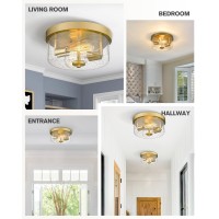 Emak Brushed Gold 2 Light Flush Mount Ceiling Light Fixture 11 Inch Close To Ceiling Light Fixtures With Seeded Glass Shades Fo