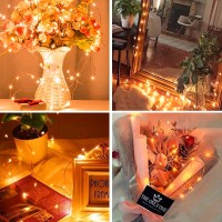 Ineximun 24 Pack Led Fairy Lights Battery Operated 7Ft 20Led Warm White Mini String Lights Waterproof Christmas Lights For Mason