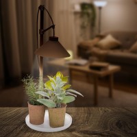 Mindful Design Tabletop Plant Grow Light - Modern Adjustable Plant Light For Indoor Plants - 300 Lumen - Indoor Plant Lights (White)